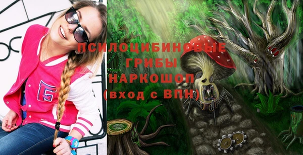 ECSTASY Алексин