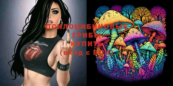 кокс Алексеевка