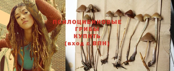 марки nbome Алзамай