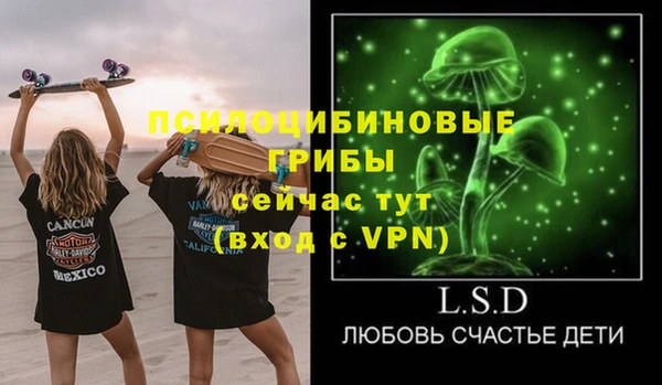 ECSTASY Алексин