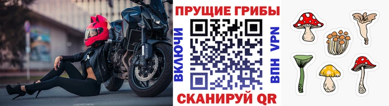 купить наркотики сайты hydra сайт Псилоцибиновые грибы GOLDEN TEACHER Инсар